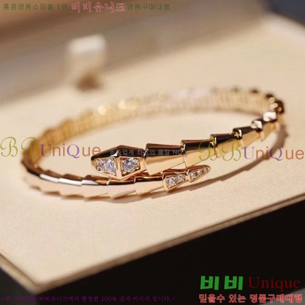 �Ұ��� ���� BV3301355-1