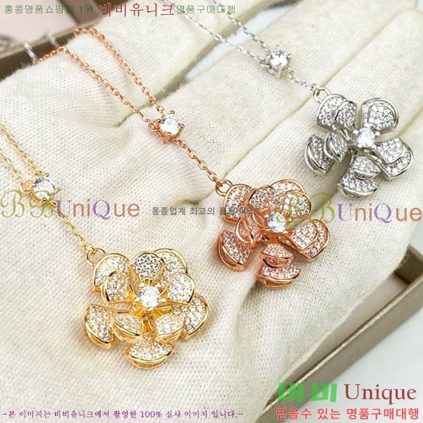 �Ұ��� ����� BV501443-5