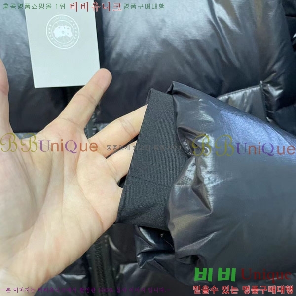 �������� ĳ���ٱ��� �ٿ� �е� CAG23088-3