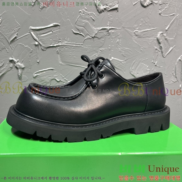 ���� ���װ�����Ÿ ���� BV48509-1